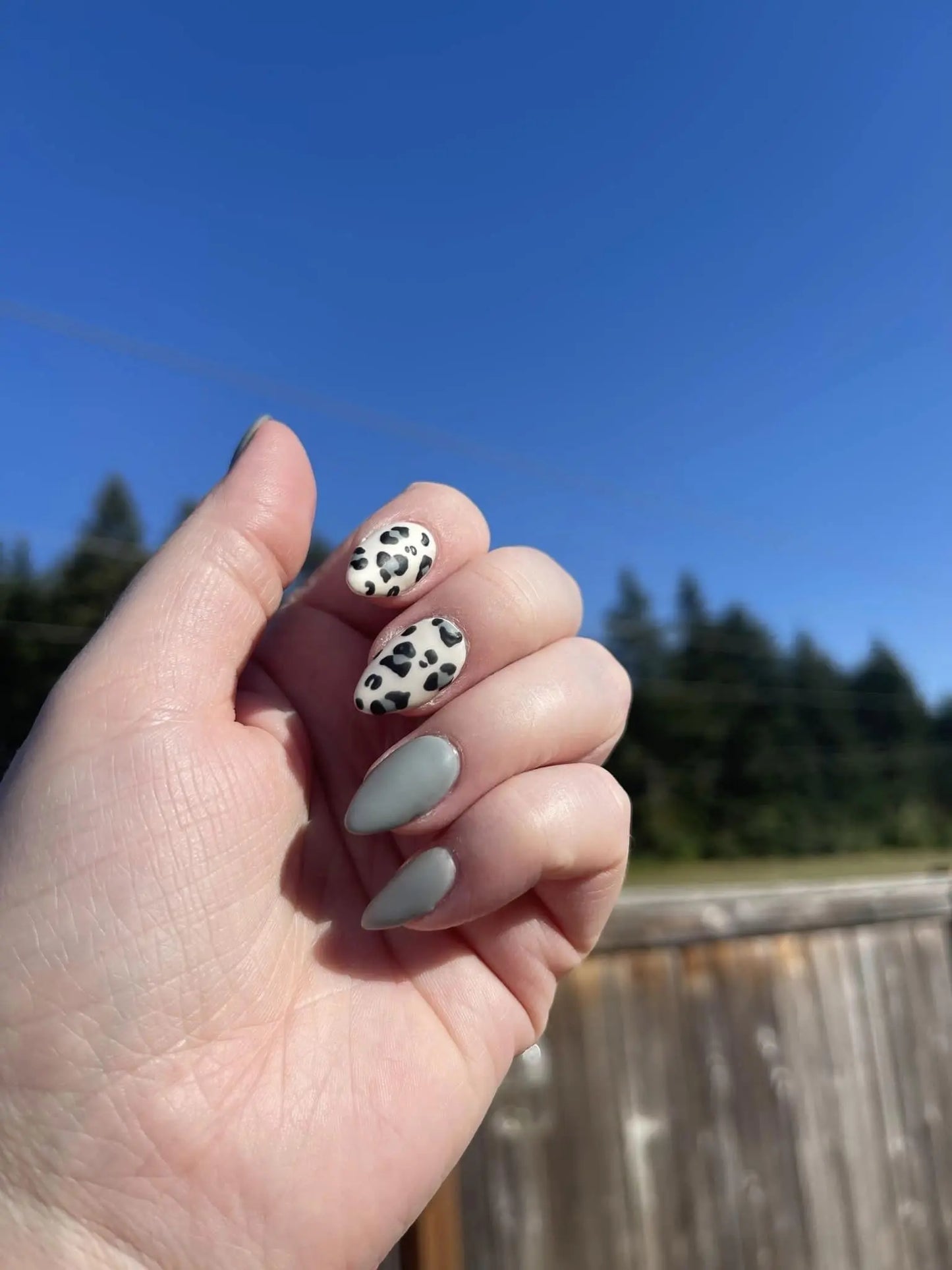Gray Leopard Press-on Nails