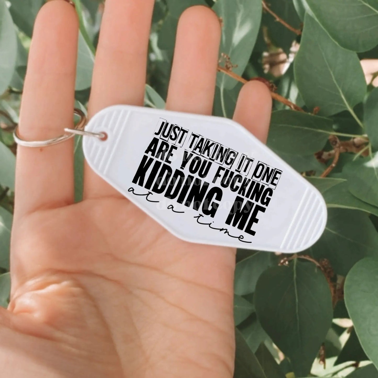 Just Taking It One Are You F*cking Kidding Me at a Time | Die Cut Acrylic Blank (No Hardware Included)  - Hey There Crafty LLC